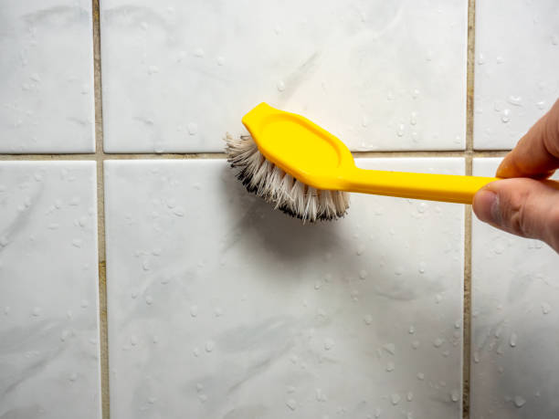 Best Commercial Mold Removal  in Duluth, WA